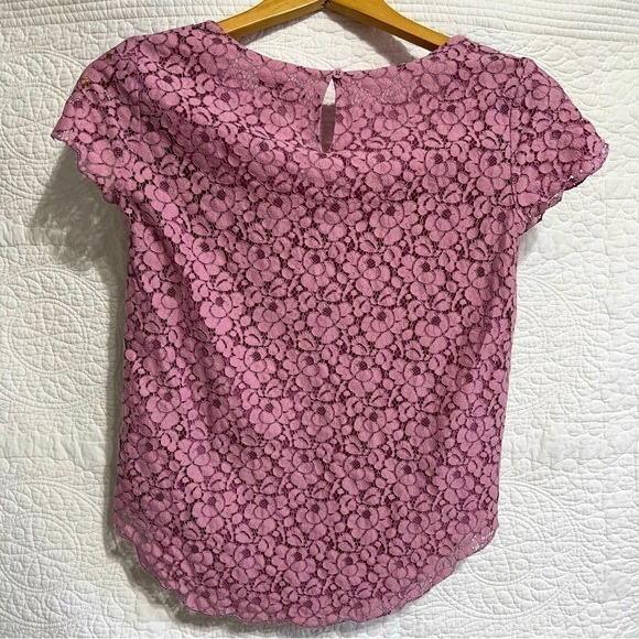 Talula Aritzia Pink Lace Betsy Short Sleeve Lined Blouse, Size- X-Small - Picture 8 of 9